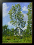 Birch Tree Near Dwelling Prints by Ilya Yatsenko