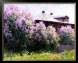 Sunny Morning Prints by Alexander Kosnichev