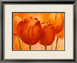 Peach Tulips Posters av Susanne Bach
