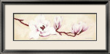Magnolias I Pósters por Elisabeth Verdonck