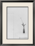Tulipe Affiches par Lilo Raymond
