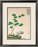 Arbre chinois en fleurs IV Posters