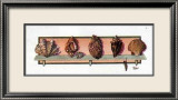 Colección de conchas II Póster por Peggy Jo Ackley