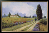 Holiday in Tuscany Prints by Hawley 