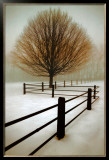 Solitude Prints by David Winston