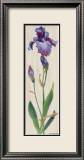 Iris Panel I Kunst av Ruth Baderian Iris Panel I Kunst av Ruth Baderian