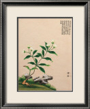 Flowering Chinese Tree III Reprodukcje Flowering Chinese Tree III Reprodukcje