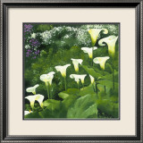 Arums Affiches par Jordane D. Grux