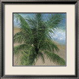 Trade Winds Prints by Jacquelynn Kresman