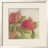 Hortensia II Poster par Vincent Jeannerot