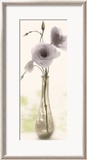 Charming Lisianthus Affiches par Donna Geissler
