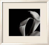 Arums Posters af Cédric Porchez