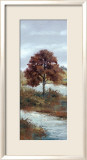 River Elm Affiches par Diann Haist