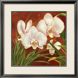 Red Orchid Láminas por Laurie Snow Hein Red Orchid Láminas por Laurie Snow Hein