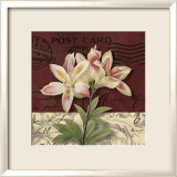 Postcard Lily Art par Kelly Donovan