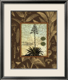 C. Capsolorum Prints by Karl Rattner