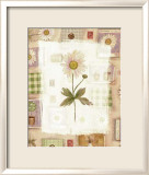 Fleurs avec motifs Poster par Vicki Bowman