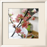 Appletree Branch Art par Eulenburg 