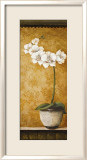 Hanna's Orchids II Láminas por Susan Osborne