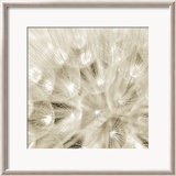 On the Breeze Posters av Adam Brock
