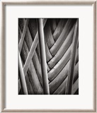 Palm Pattern Affiches par Jeff Zaruba