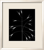 Wild Grasses III Posters par K. Kennedy