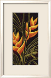 Heliconia Láminas por Yvette St. Amant