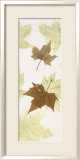 Falling Leaves III Láminas por Phillip Jaeger Falling Leaves III Láminas por Phillip Jaeger