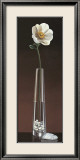 Anemone Haiku Posters by Yuki Ross