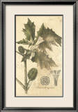 Botanica I Kunstdrucke von Ludwig Van Houtte
