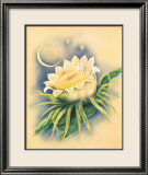 Cereus blanc au clair de lune Estampe encadrée par Ted Mundorff