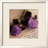 Rose sur Livres II Posters par Celine Sachs-jeantet