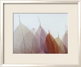 Cabernet Affiches par Durwood Zedd