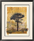 Presidio Cypress Study I Prints by Donald Farnsworth