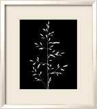 Wild Grasses I Prints by K. Kennedy