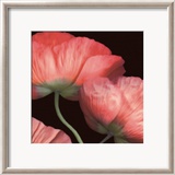 Celebration II Print by S. G. Rose