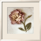 Sand Lisianthus Affiche par Donna Geissler