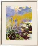 Les Agapanthes Poster par Claude Monet