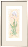 Soliloque de l'iris II Affiches par Nancy Kaestner