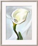 Calla Lily Turned Away Láminas por Georgia O'Keeffe