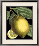Fragrant Citrus II Kunst von Volkamer 