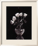 Roses dramatiques Affiches par Dick & Diane Stefanich