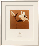 Lys Posters par Jan Gordon