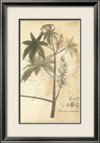 Botanica II Kunstdrucke von Ludwig Van Houtte