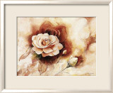 Rose Shadow II Affiche par Karin Valk