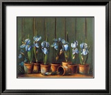 Iris Bleus Affiches par Fabrice De Villeneuve