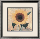 Sunflower Prints by John Faulkner