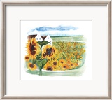 Summer in Italy III Prints by M. Reiss