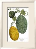Antique Melons II Kunst von Weimann 