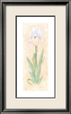 Soliloque de l'iris II Posters par Nancy Kaestner